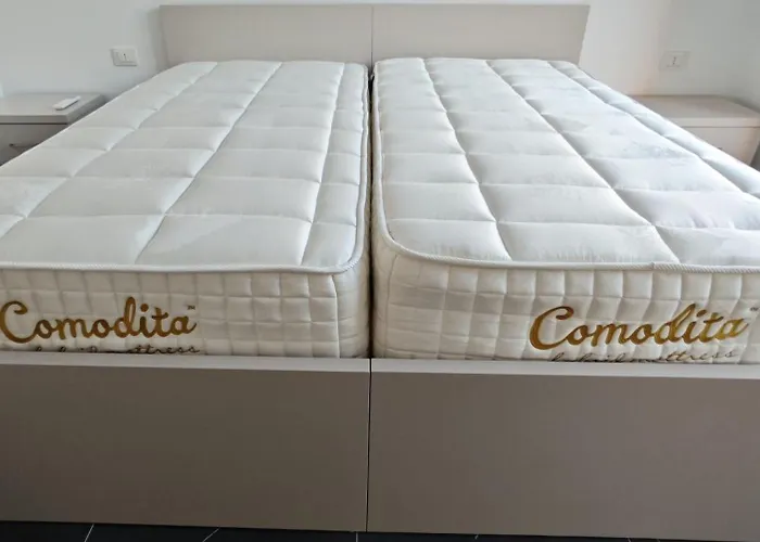 Vasil Gjika 1 * 地拉那