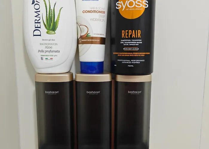 公寓 Vasil Gjika 1